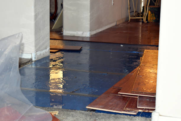 Professional Sewage Cleanup technician working in Ortonville, MI