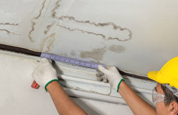 Reliable Sewage Cleanup contractor in Ortonville, MI by Local Water Damage Repair